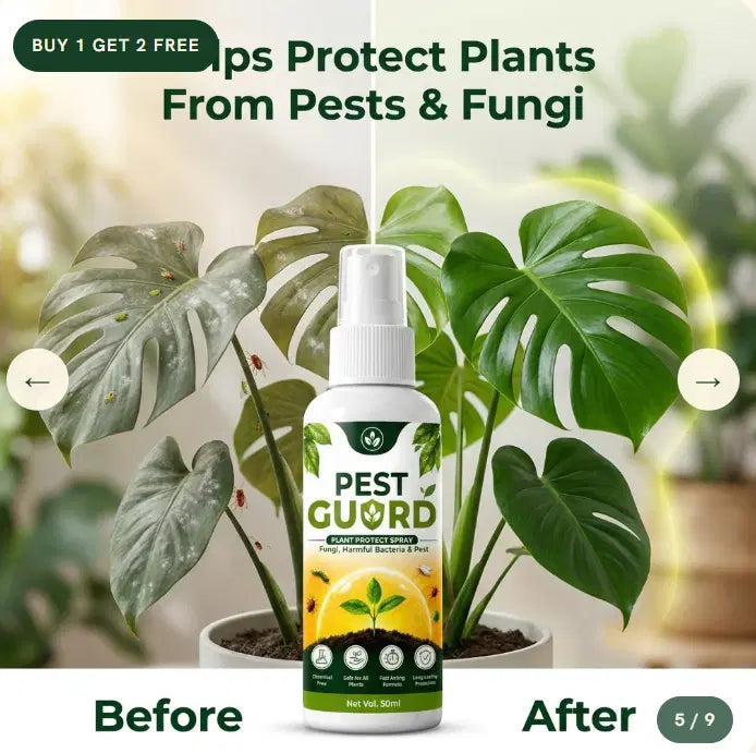 Pest Guard Plant Protect Spray (Buy 1 Get 2 Free)